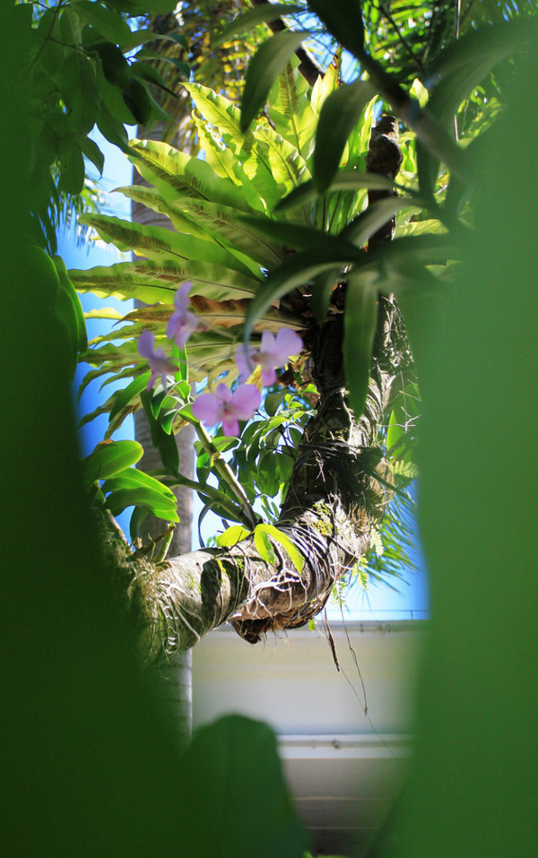 海南旅游海口到三亚自由行,从海口到三亚感受海南的无限魅力