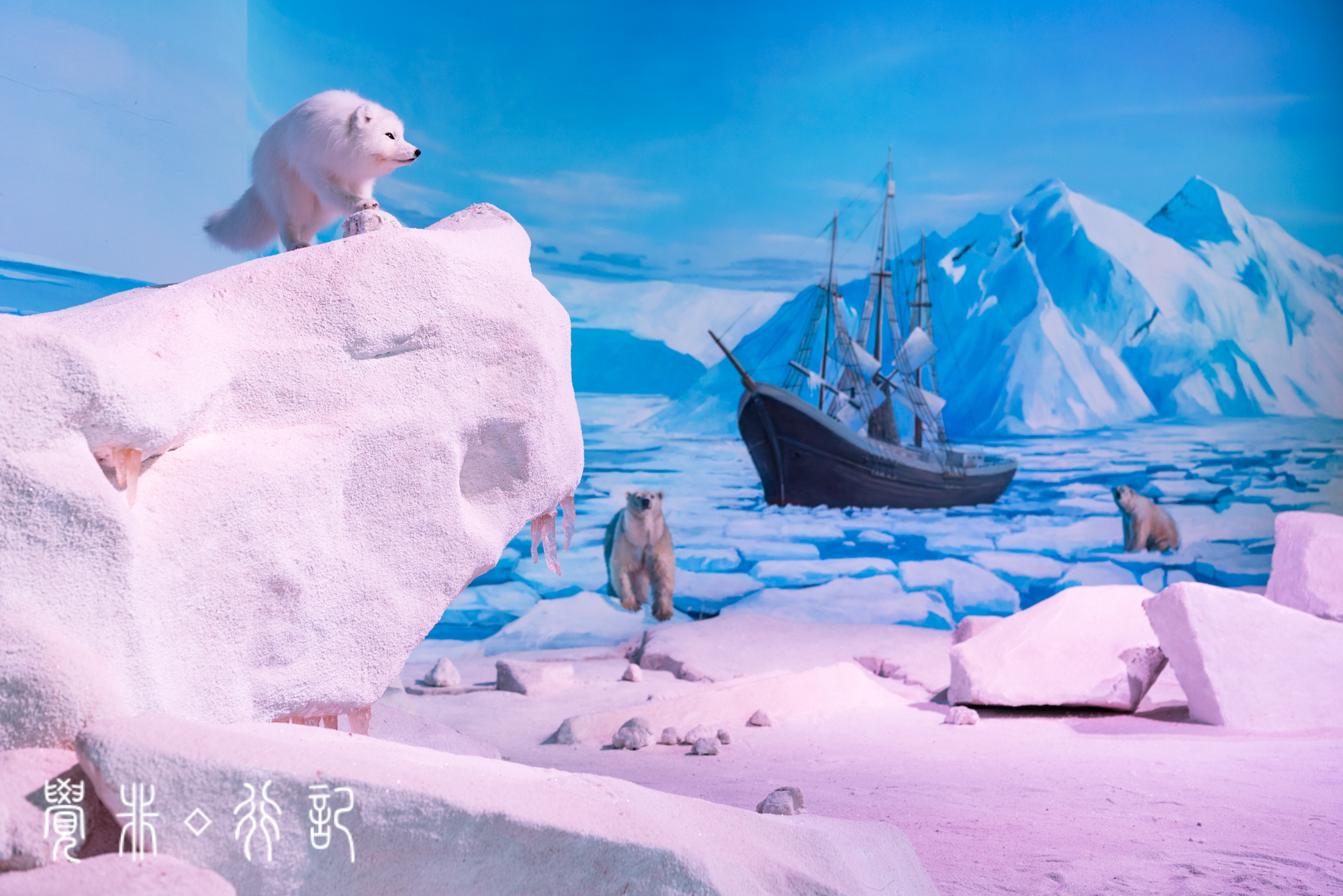 国家海洋博物馆又被称为海上故宫,天津国家海洋博物馆预约电话