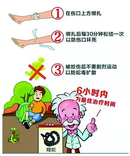 湖南惊现巨型眼镜蛇,惊现巨型眼镜蛇