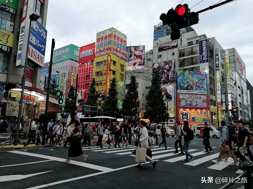 豪华游轮日本游旅游攻略,特价日本豪华游轮旅游攻略