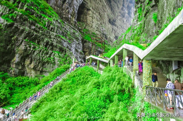 大美张家界之天门山狐仙,张家界旅游天门狐仙值得看吗