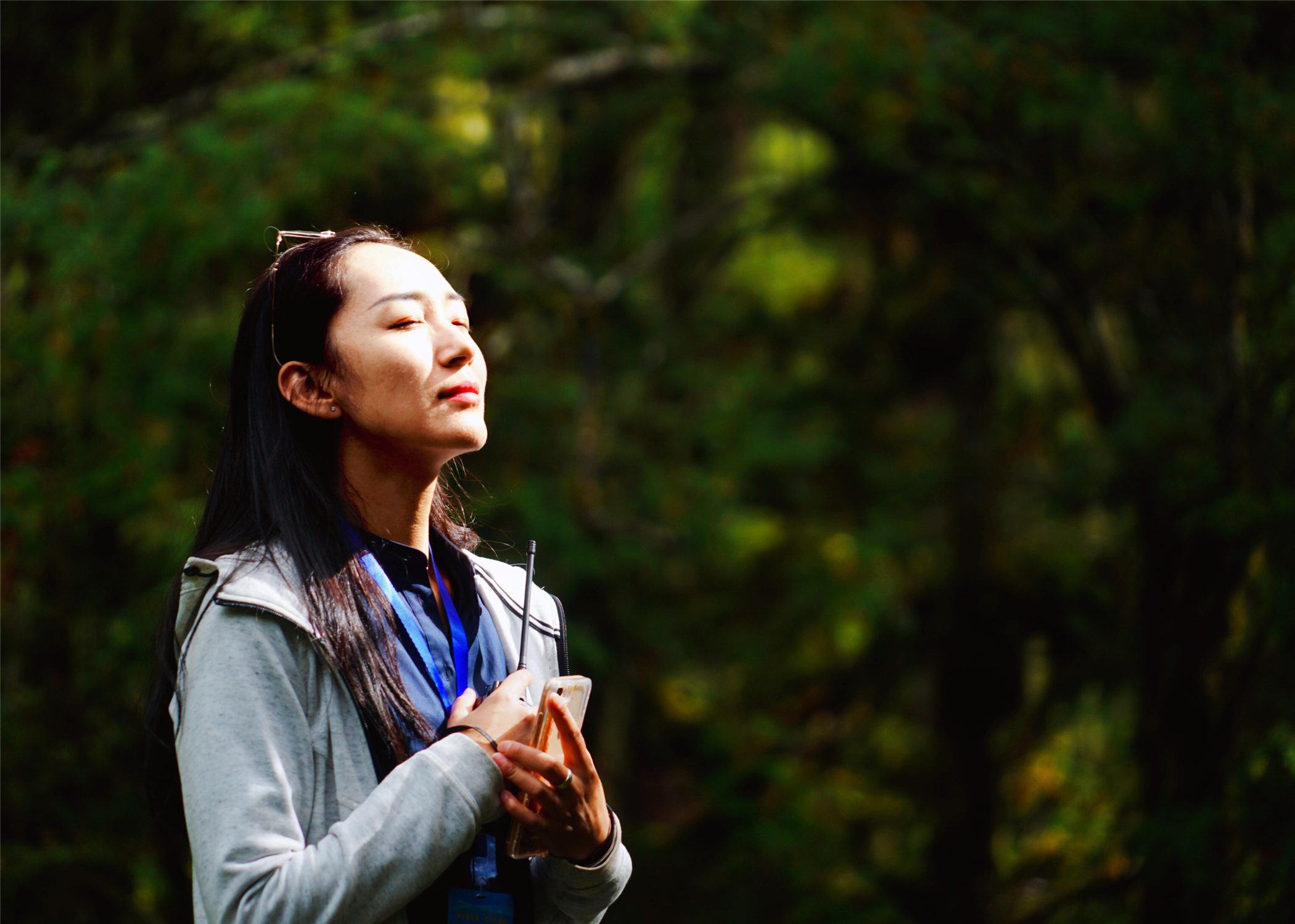 西藏林芝原始森林海拔多高,世界海拔最高原始森林