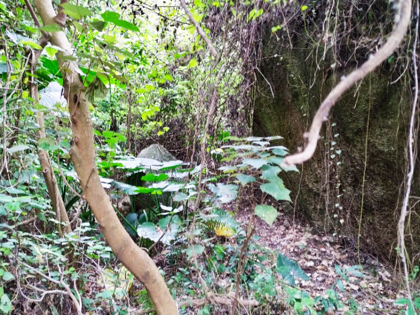 周日跟随珠海户外网板樟山游记