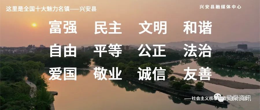 广西壮族自治区人民政府办公厅关于对2019年落实有关重大政策措施真抓实干成效明显地方予以督查激励的通报