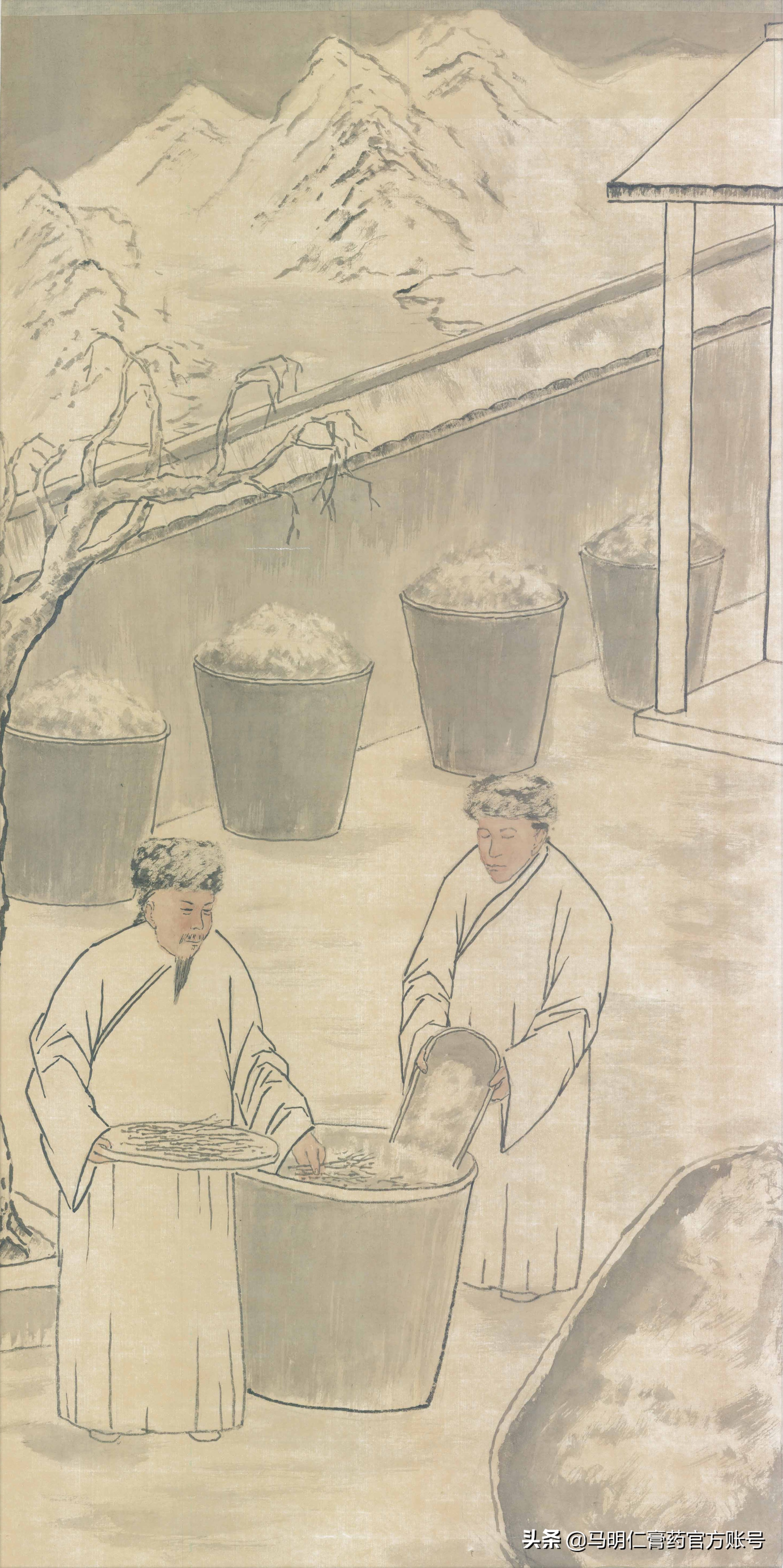 非遗膏药制作,古法匠心膏药制作