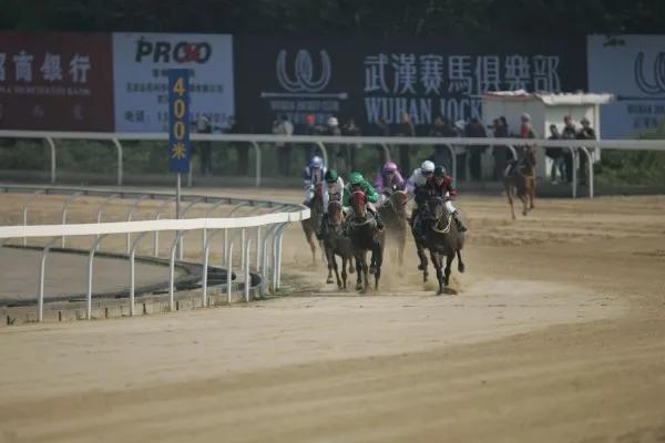 武汉要发行赛马彩票，这次有没有戏？