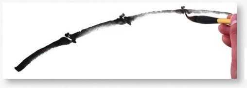 画竹子的简单画法水墨初学,竹子没骨画教程