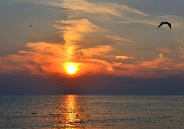 期货高手怎么判断自己的交易水平,期货如何判断自己适合什么交易