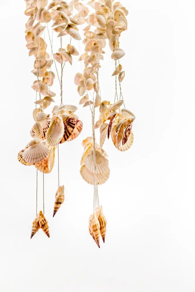 请依次用韩文读出来,请朗读并圈出元音不同的单词