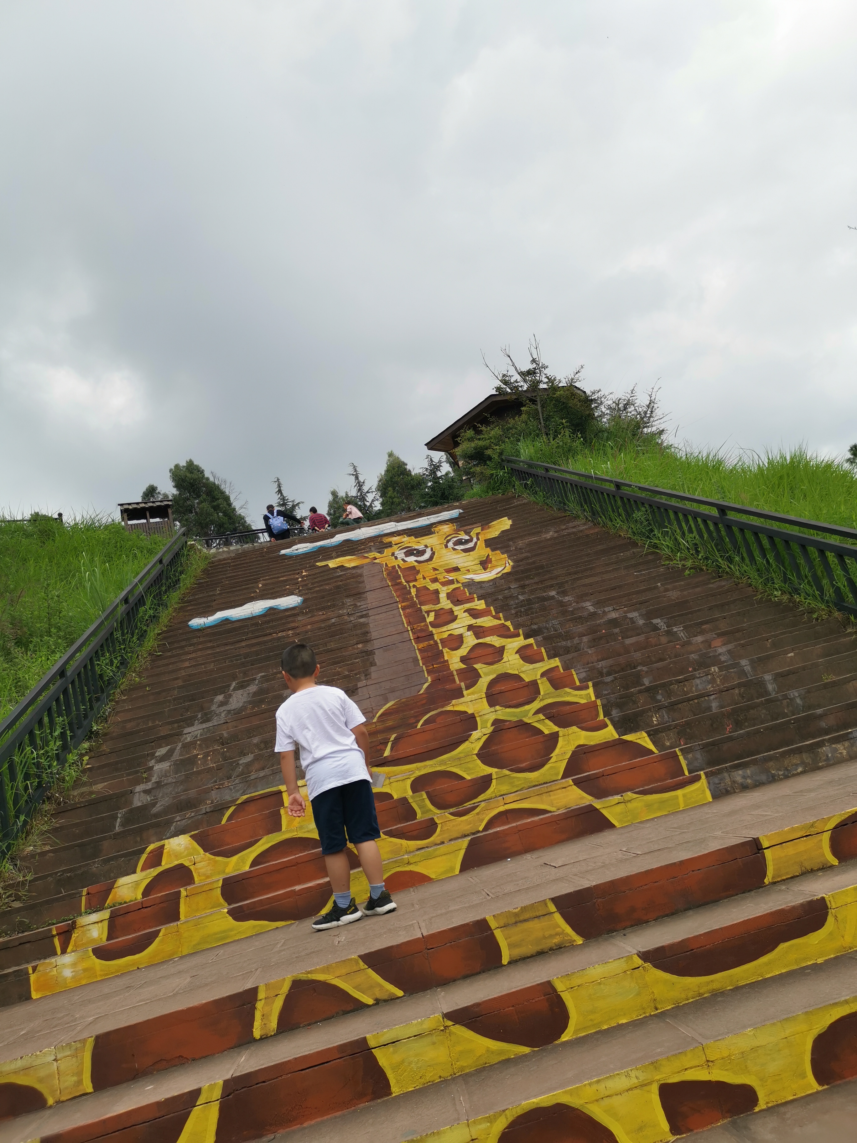 云南野生动物园免票吗,云南野生动物园有什么好玩的