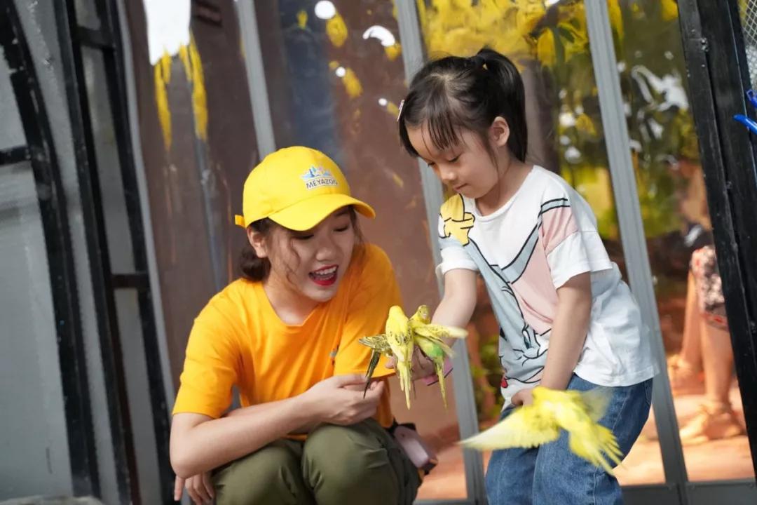 聊城滑雪场地推荐,聊城哪里有滑雪场地