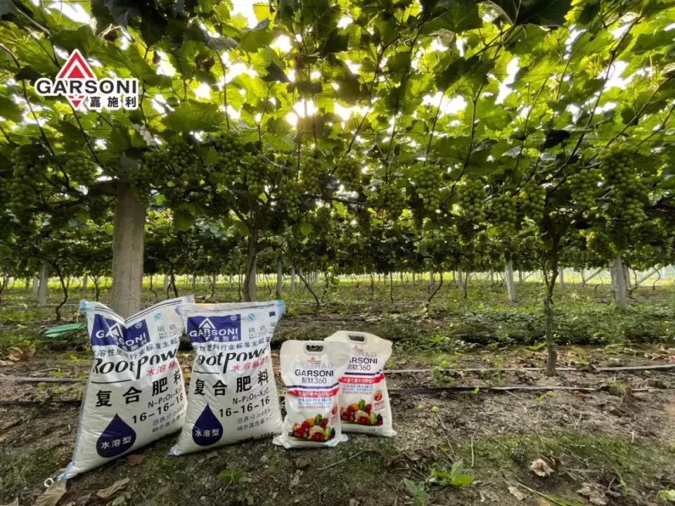 嘉施利央视广告,嘉施利金牌根动力复合肥