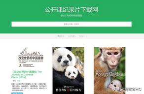 无水印高清视频免费下载网站,免费无水印高清电影网站