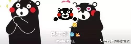 没想到这些大号他们“制造”出来的,这些大号你关注了哪些呢?