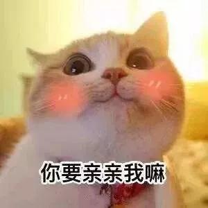 omg今日推荐,omg这些春节档预售你抢到了吗