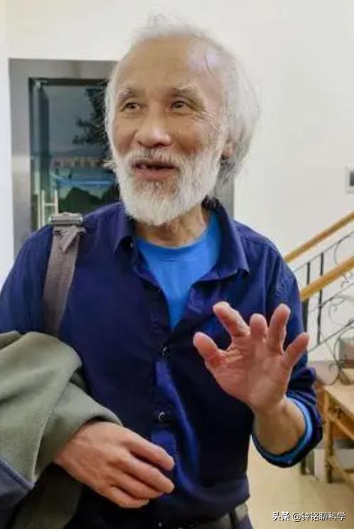 蛇中熊猫莽山烙铁头,莽山烙铁头蛇全球仅有500条