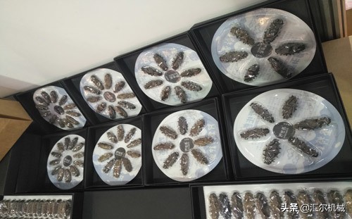 真空包装机盖子变形怎么维修,真空包装机盖子变形怎样调试视频