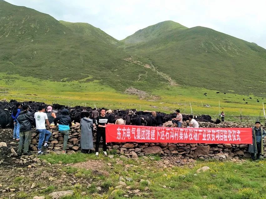 卫健局帮扶乡村振兴,健康扶贫为精准脱贫提供健康保障