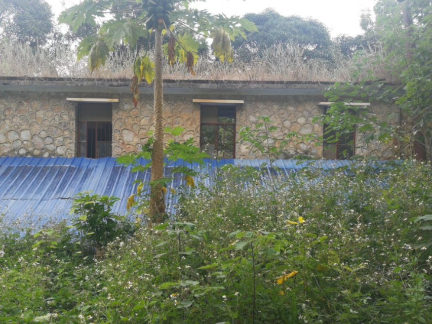 广西边防五师营房图片,五师师部旧址在哪里