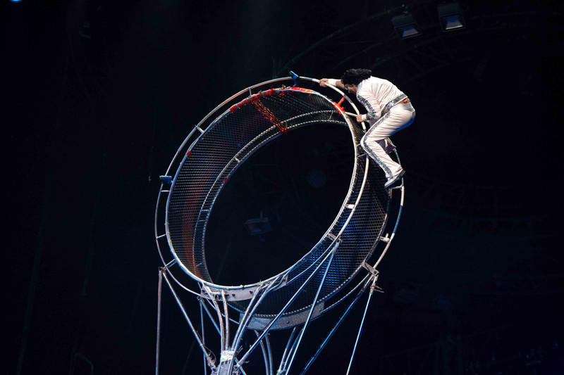 玩转广州长隆野生动物世界之行,广州长隆动物世界游玩攻略图