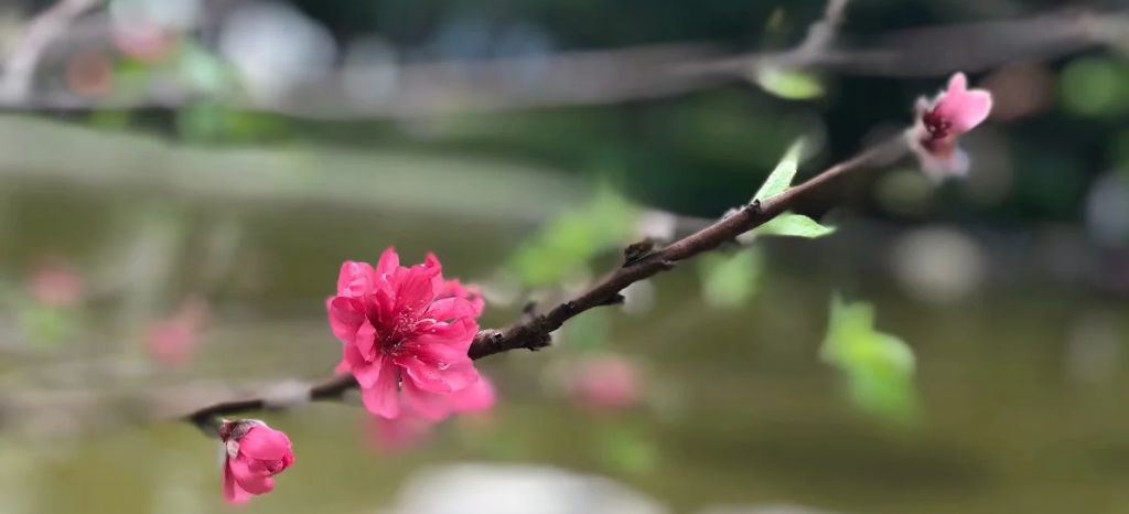 女儿是我的全部梦想,女儿是我坚强的动力