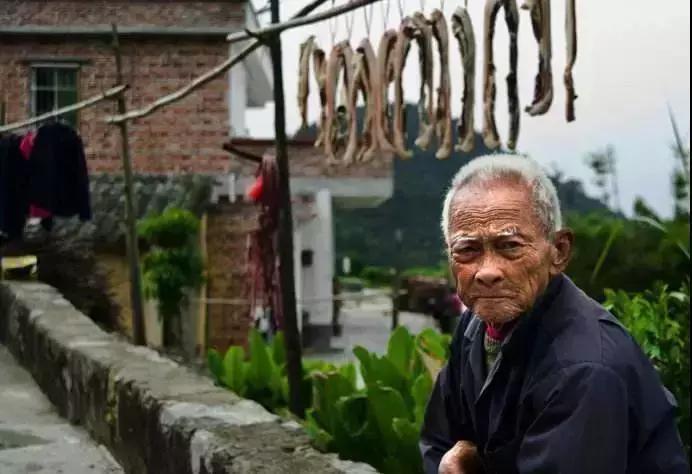 放弃世界顶尖银行工作,他回村当木匠,在废墟上盖出了爆美小院!