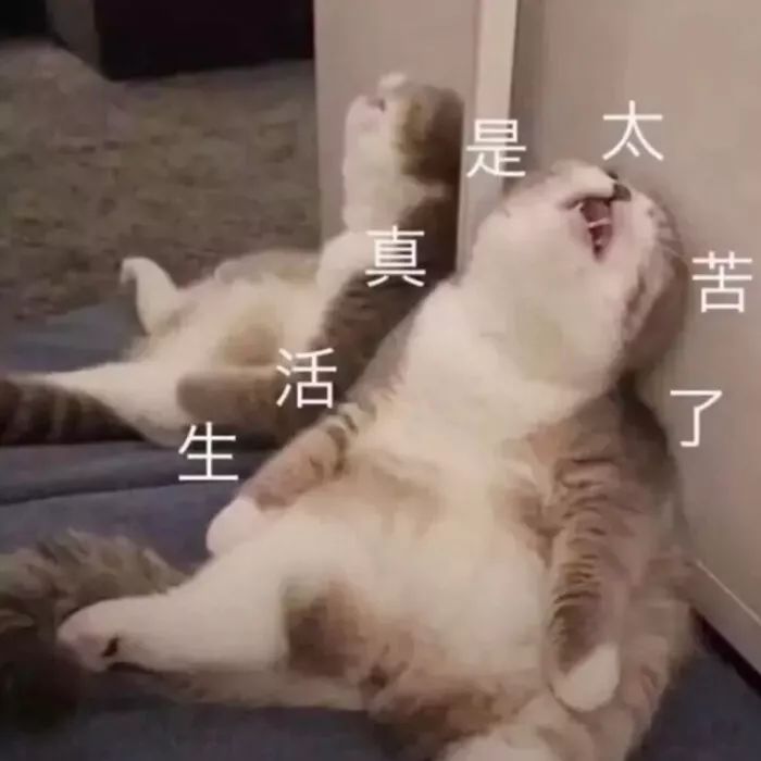 买的保险不想交了如何退划算,蚂蚁保险怎么退保我不想买了