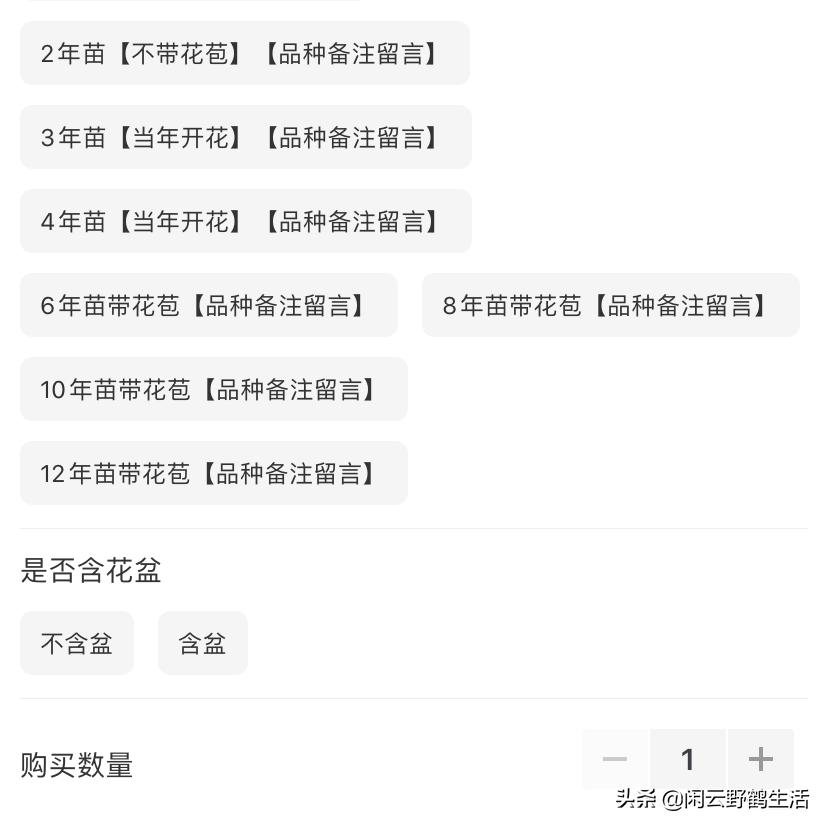 怎样避开买宿迁的花,怎样避免购买到宿迁假苗木