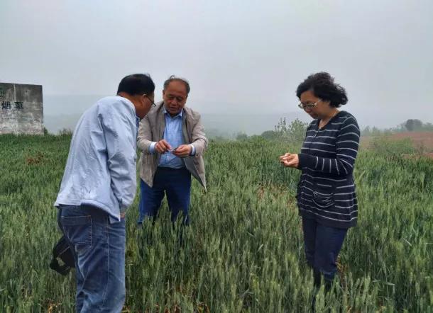 新时代文明实践志愿服务项目库,新时代文明实践志愿服务项目大赛