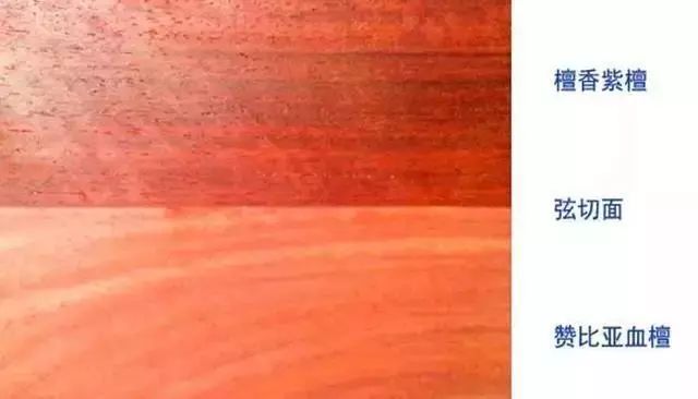 紫檀的真实身份,紫檀的一生