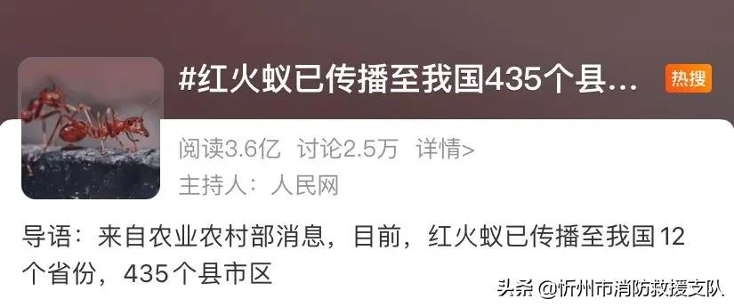 食人蚁袭击人类,一口气看完食人蚁袭击人类