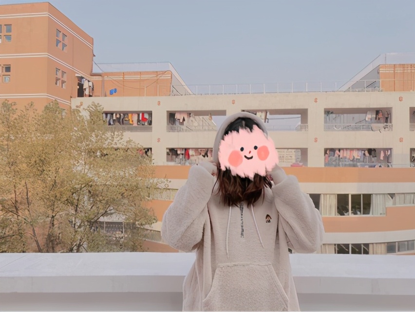 重磅连帽卫衣韩版,连帽针织韩版卫衣