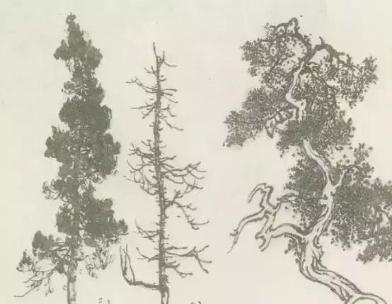 怎么画树最简单而且还最好看,怎么画树才更真实