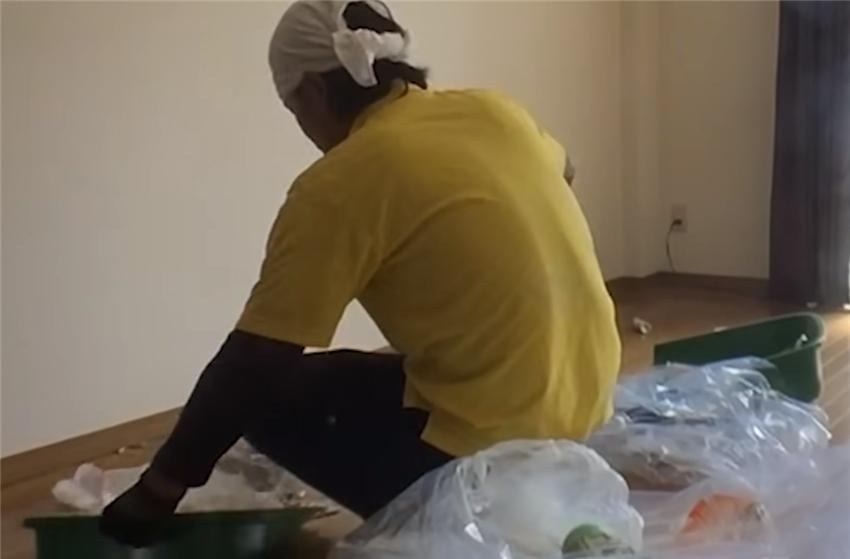 日本人家政服务,日本人家政