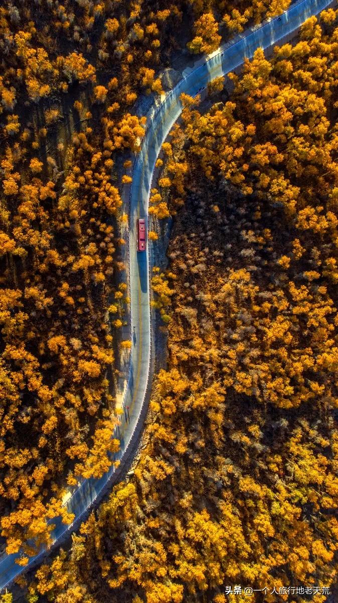 如果你不了解现实你就去看历史,如果你不了解历史就无法展望未来