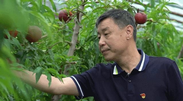 大连第一书记的故事,大连小康故事