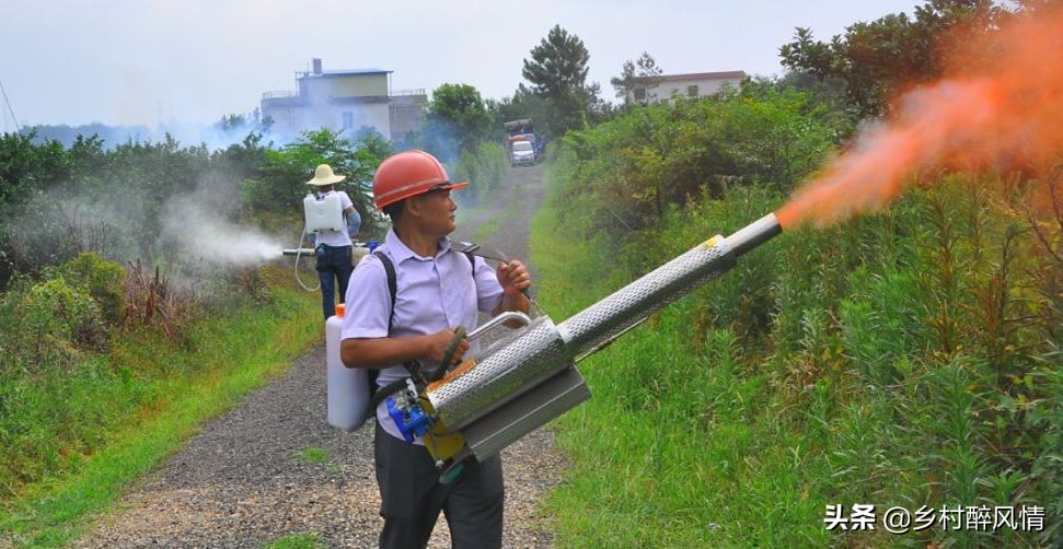 黑红胶囊可以治黄龙病吗,治黄龙病的黑白胶囊是什么
