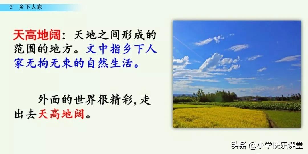 部编四年级下册语文乡下人家练习,部编版四年级下乡下人家同步练习