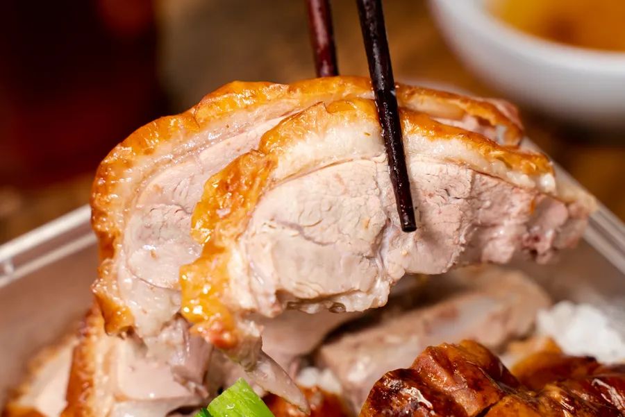 魔都粉鸭哪家好吃,烧鸭油鸡饭哪个好吃