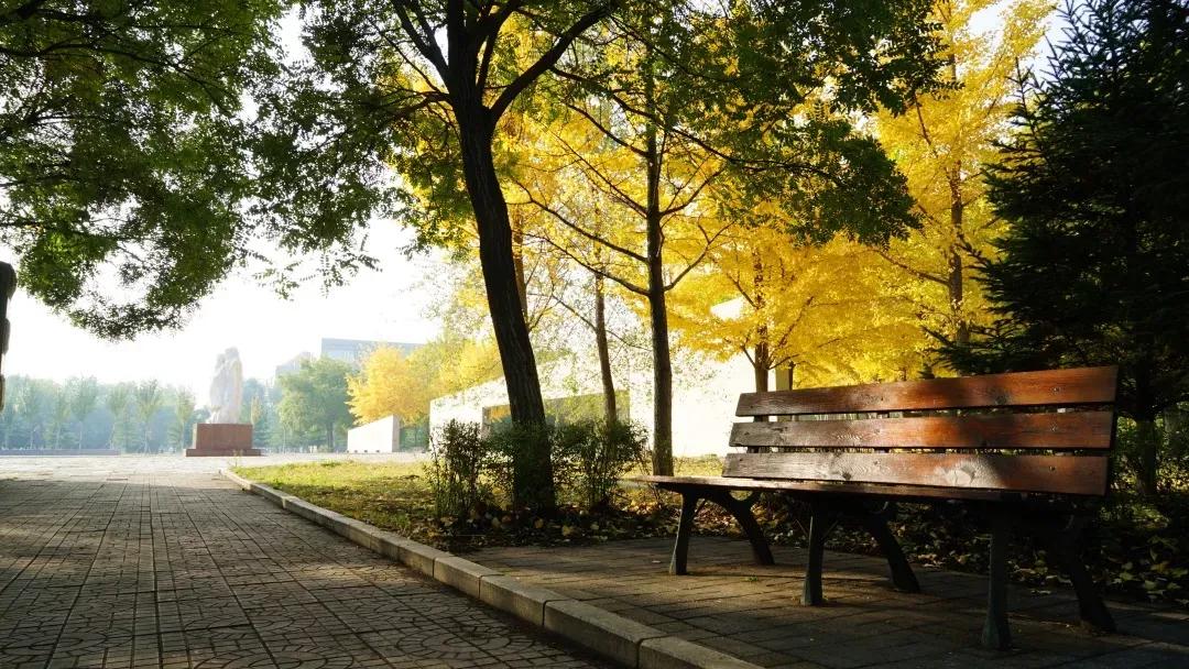 沈阳理工大学辽宁工程技术大学,沈阳理工大学专科院校