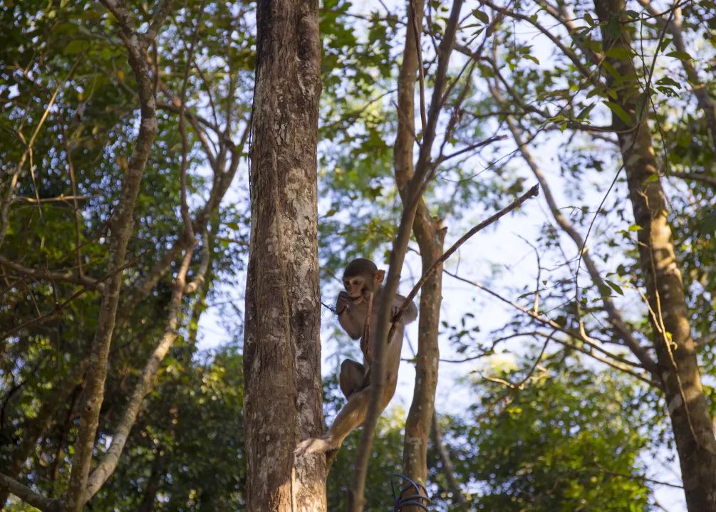 金秋多彩季，春晖幼儿园雨林仙境一日游