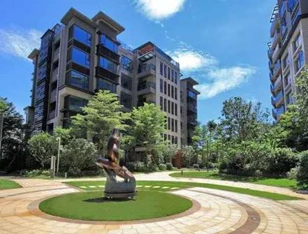 前海赤湾未来规划图,前海发展潜力有多强