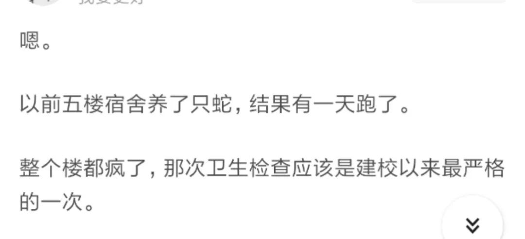 那些年舍友养过的奇葩宠物,你们身边的人都养什么奇怪的宠物