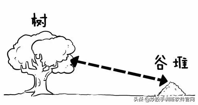 像乌龟一样趴着炒股,像麻雀一样的股票