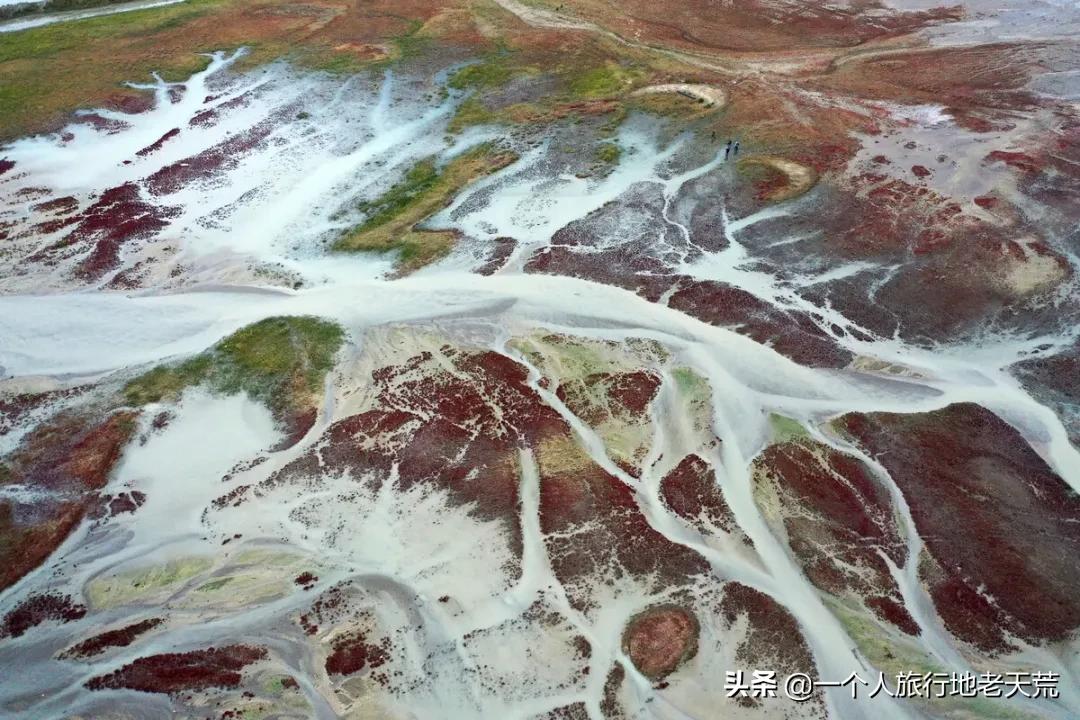 如果你不了解现实你就去看历史,如果你不了解历史就无法展望未来