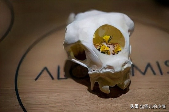 两年都预定不到座位的黑暗料理餐厅“炼金术士”，生吞金鱼的吃货