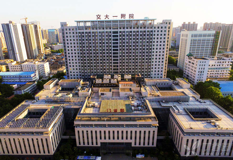 交大一院院长吕毅,西安交大一附院肝胆外科医生吕毅