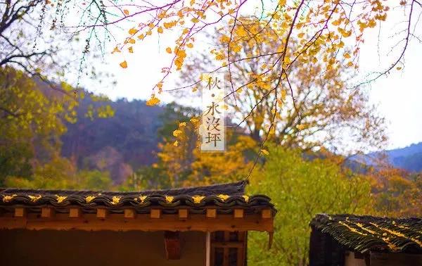 湖北钟祥：中国唯一人口守恒村？生一人死一人，百年未变！