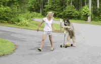 笑话视频笑得肚子痛,讲个笑话给孩子笑得肚子痛