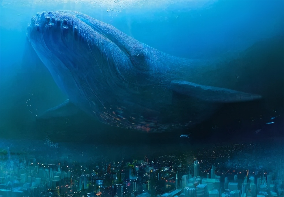 海洋馆奇妙夜,海洋馆探索海洋世界